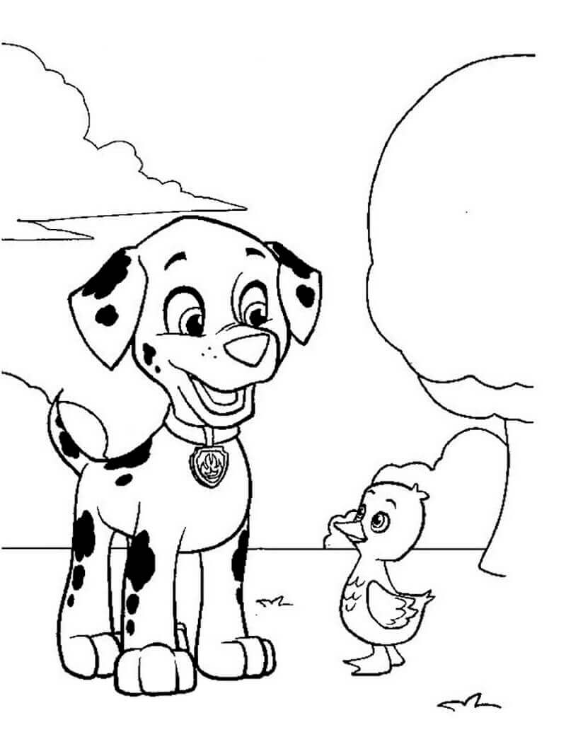 Desenhos de Marshall e um Ganso Bebê para colorir