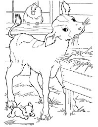 Vaca Bebê e Bezerro para colorir