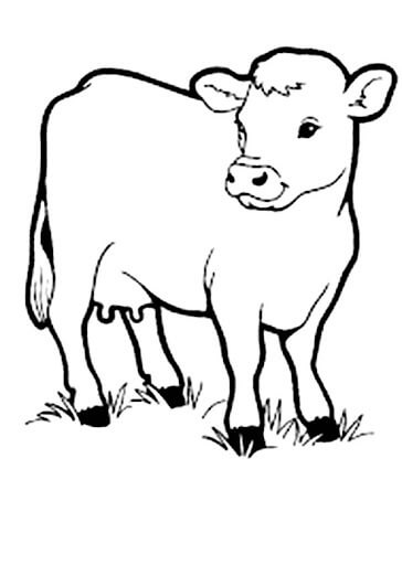 Desenhos de Vaca do Bebê Imprimível para colorir
