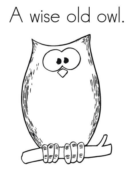 A Wise old Owl para colorir