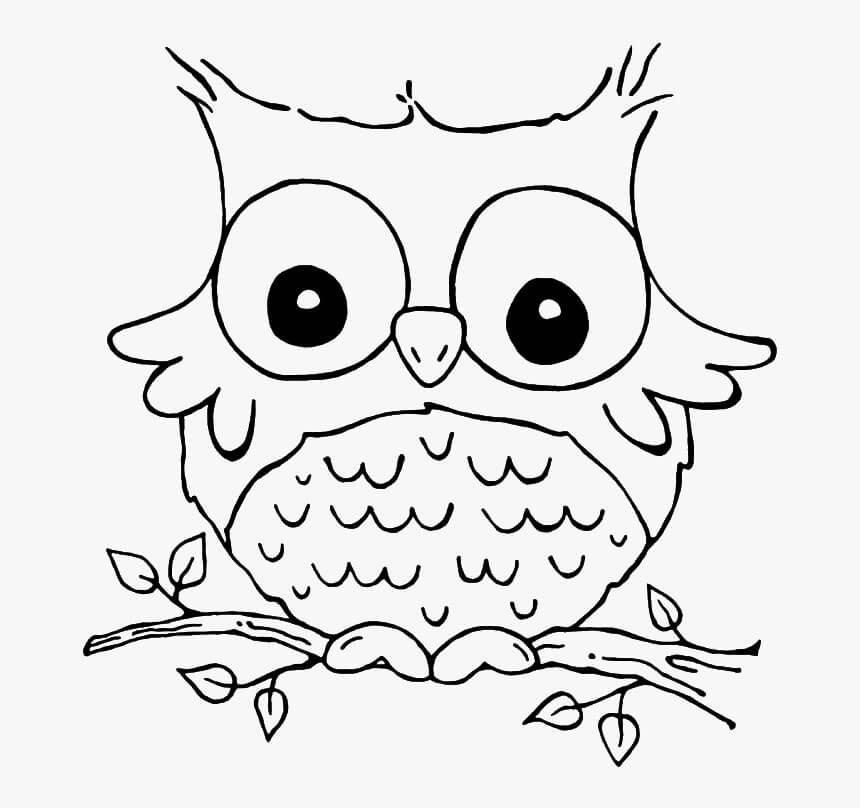Adorable Owl para colorir