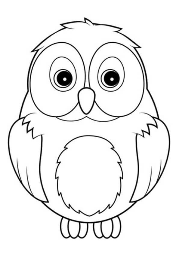 Amazing Owl para colorir