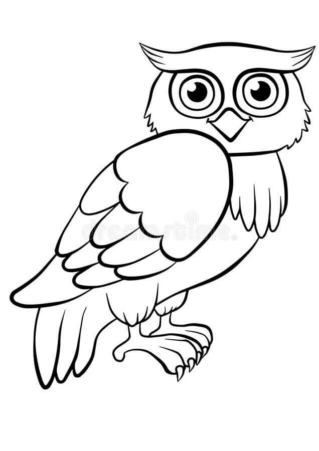 Basic Owl para colorir