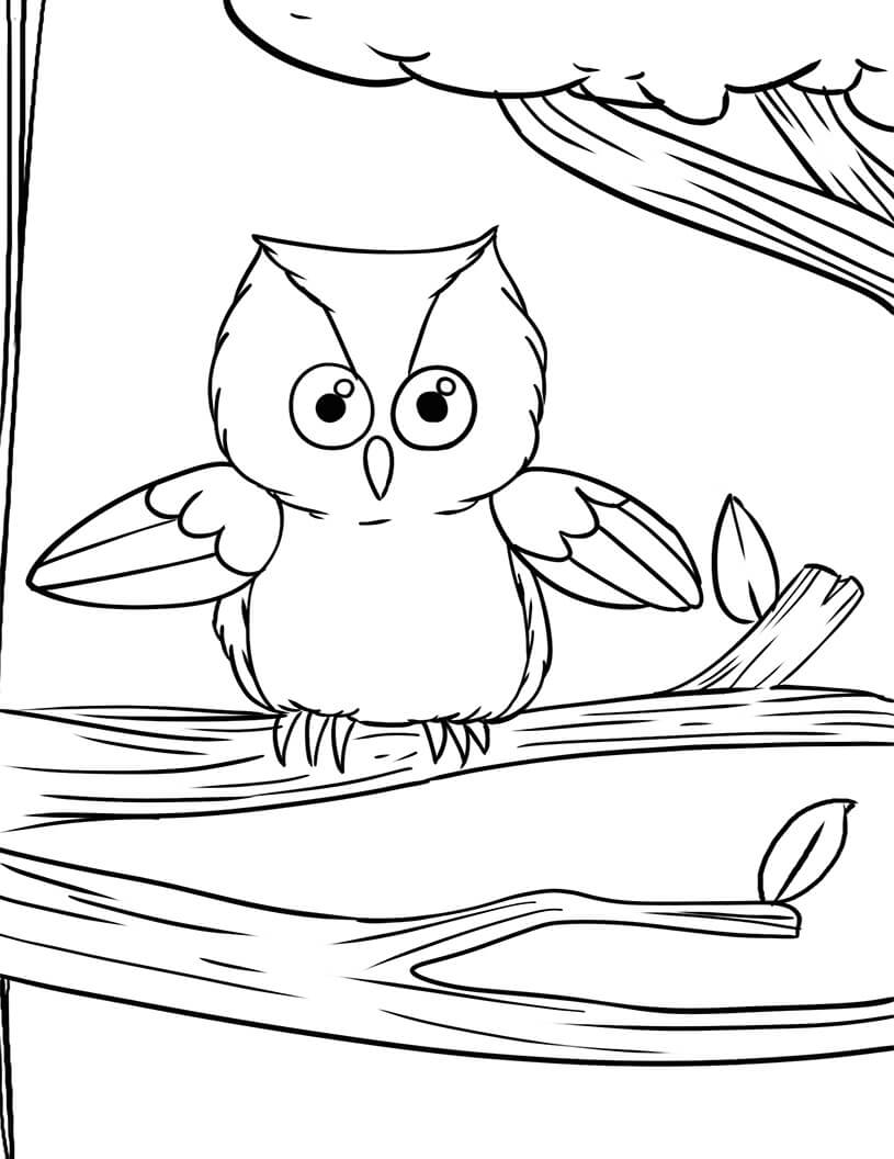 Beanie Boos Owl para colorir
