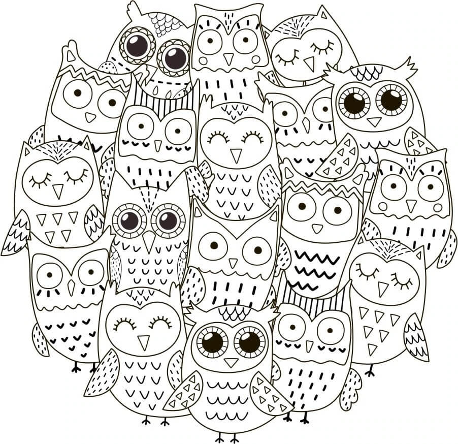 Cartoon Owls para colorir