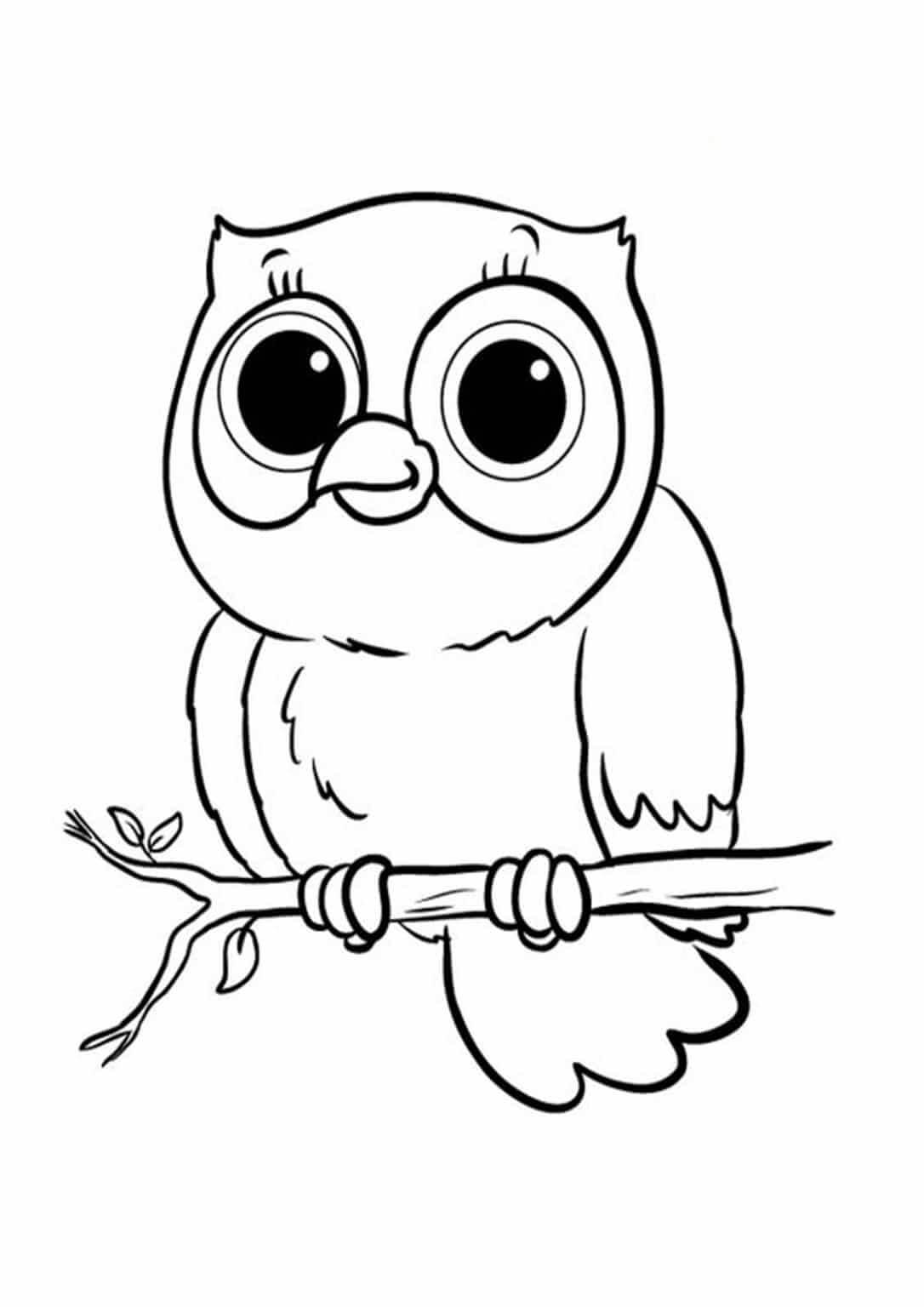 Cute Owl in Branch Tree para colorir