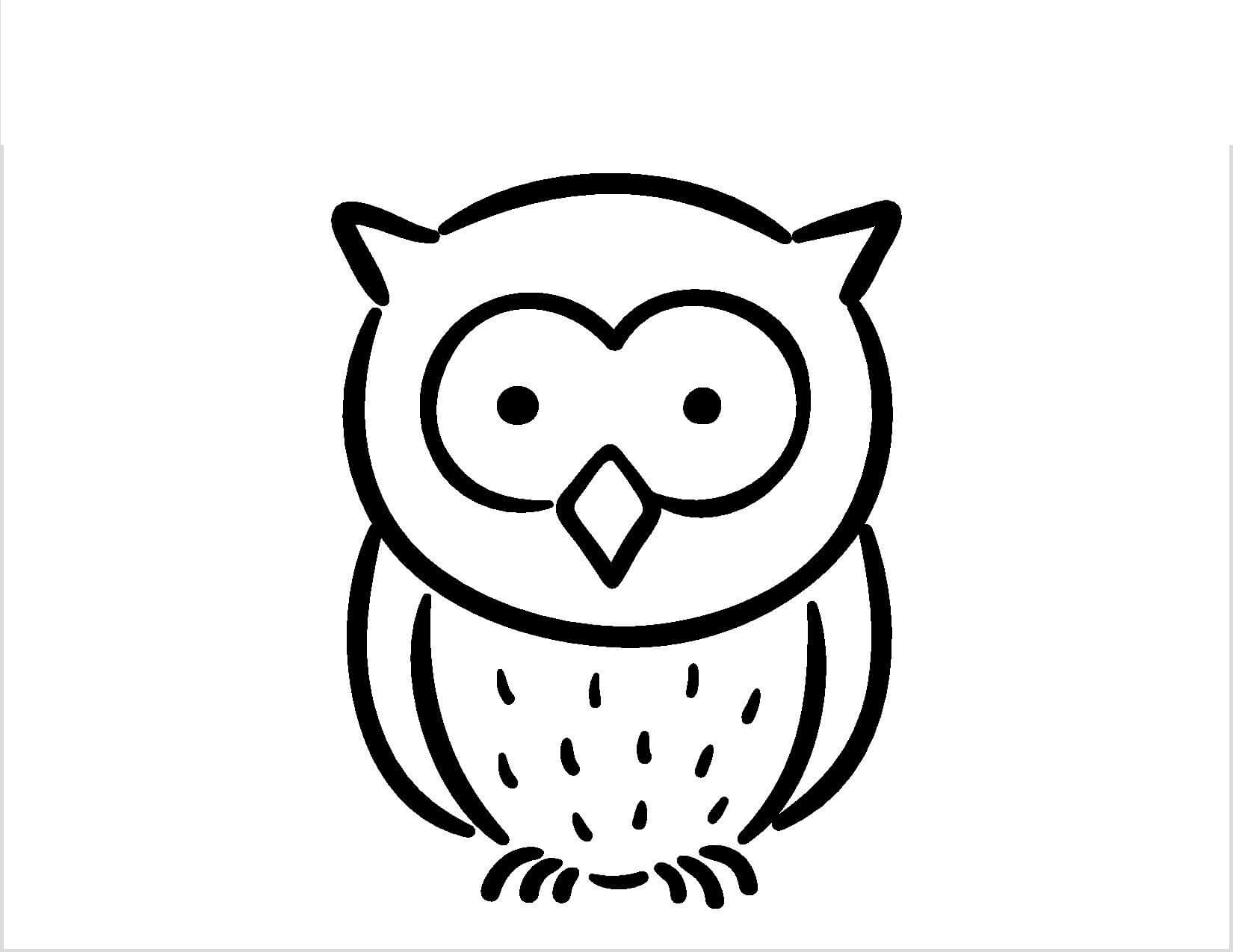 Drawing Owl para colorir