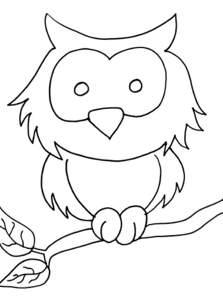 Easy Owl para colorir
