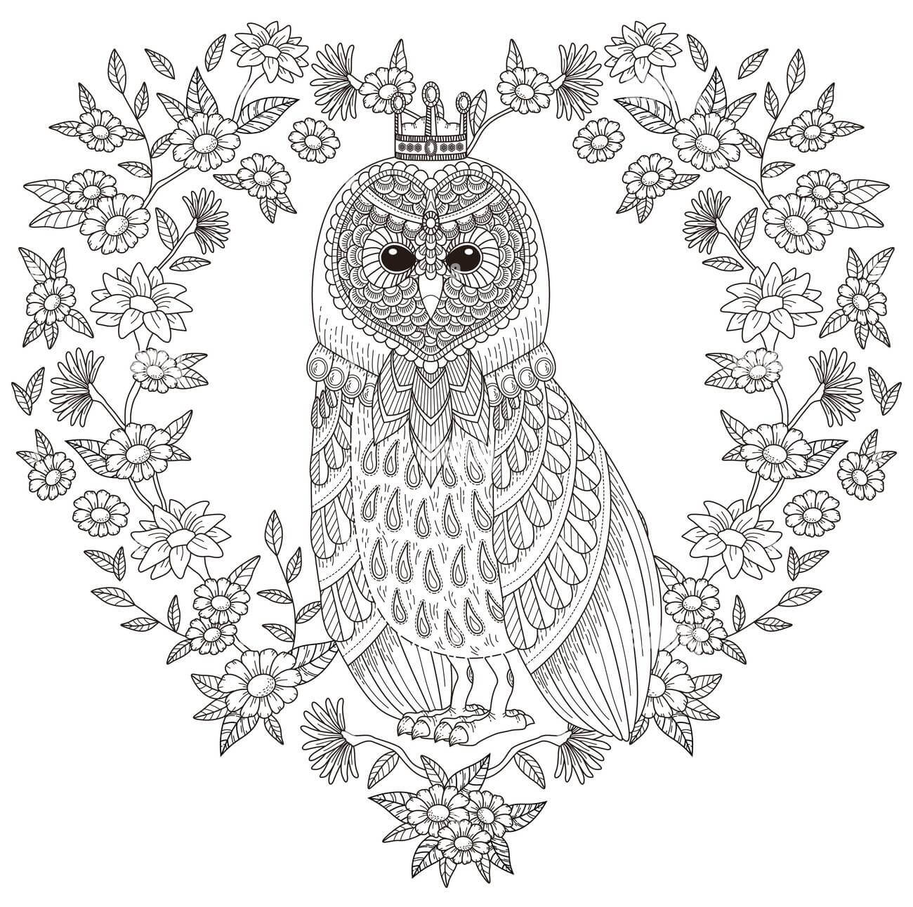 Lovely Owl para colorir