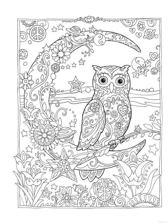 Owl Mandala in Night para colorir