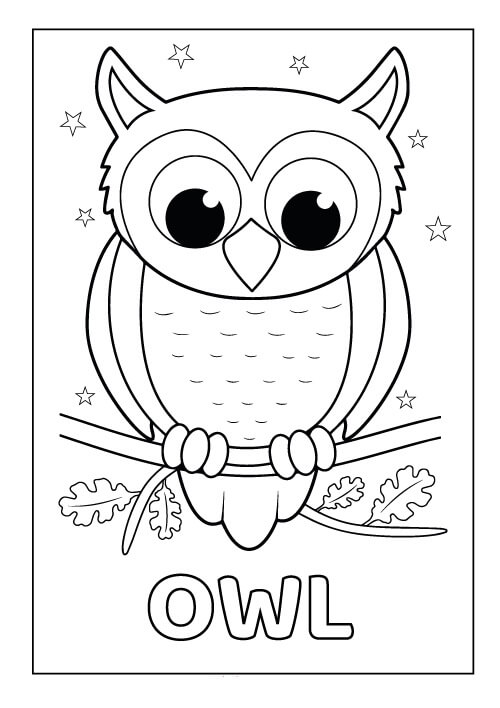 Owl with Star para colorir