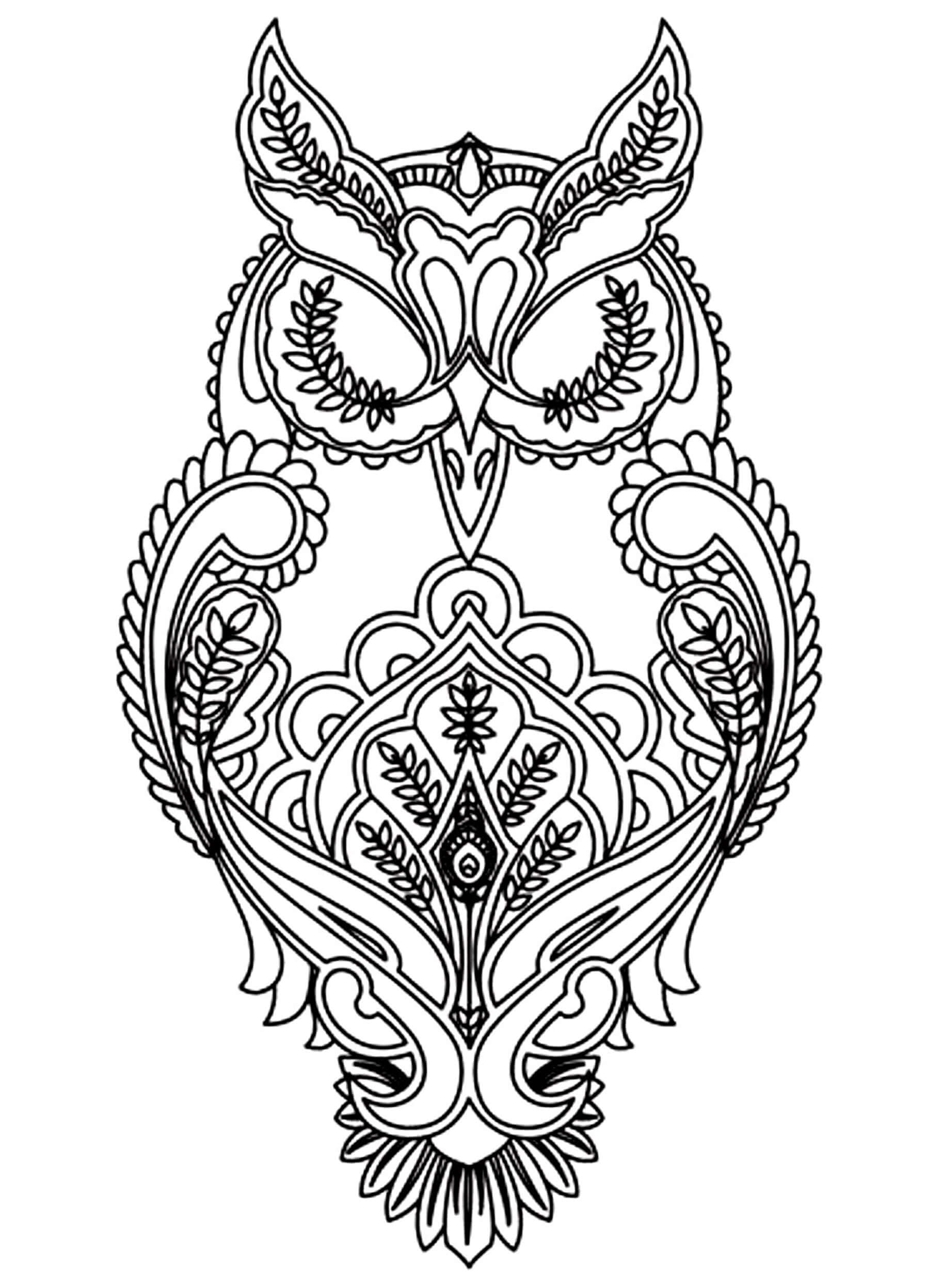 Printable Owl para colorir