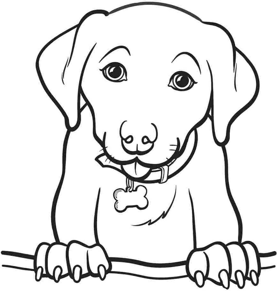 Desenhos de Bom Cachorro para colorir