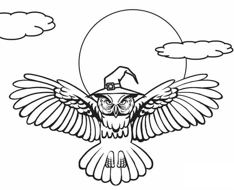 Desenhos de Bruxa Coruja Voando para colorir