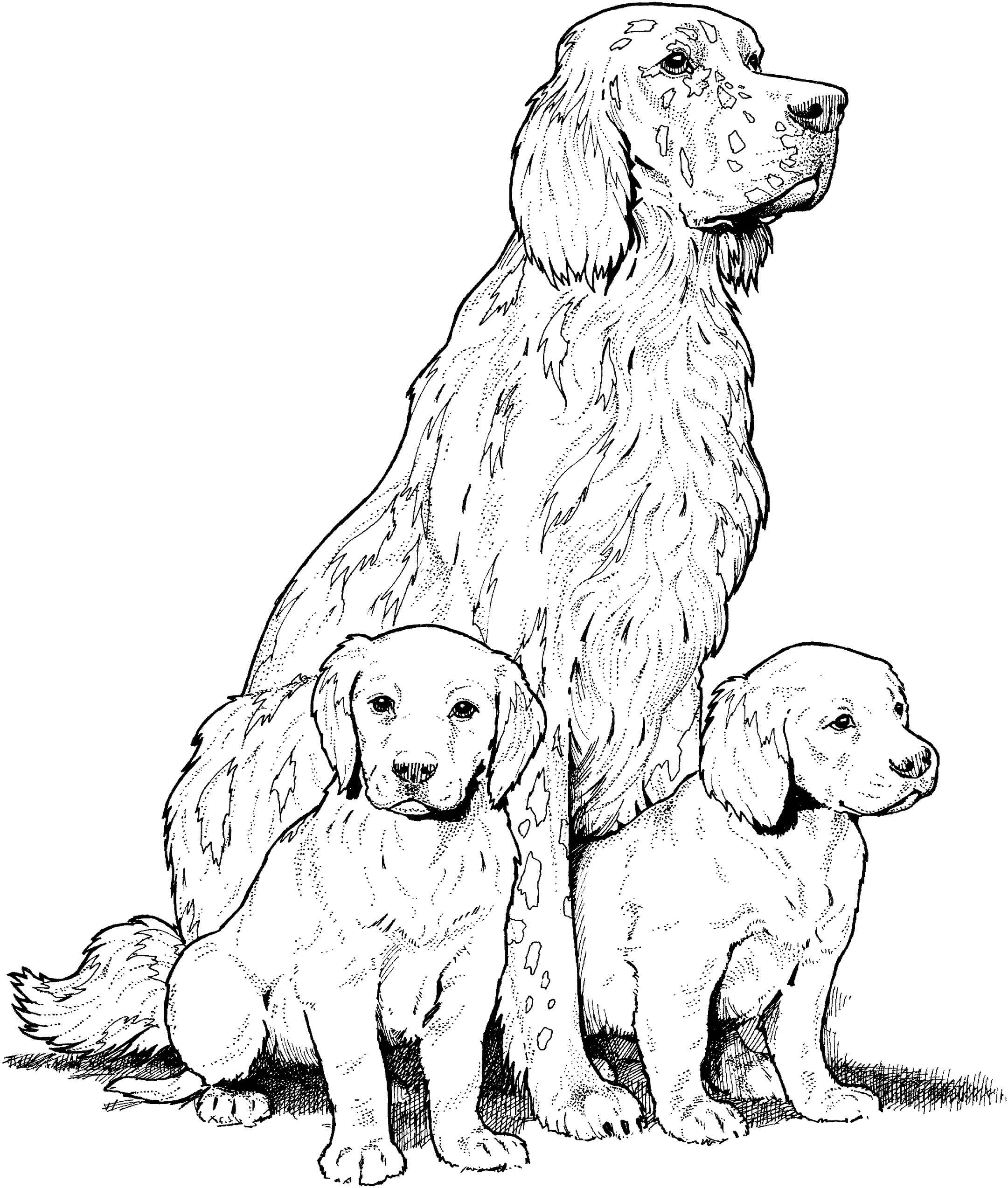 Desenhos de Cachorro mãe e Dois Cachorrinhos para colorir