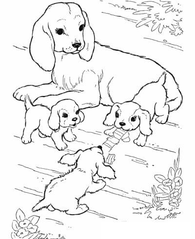 Desenhos de Cachorro mãe e três Cachorrinhos para colorir