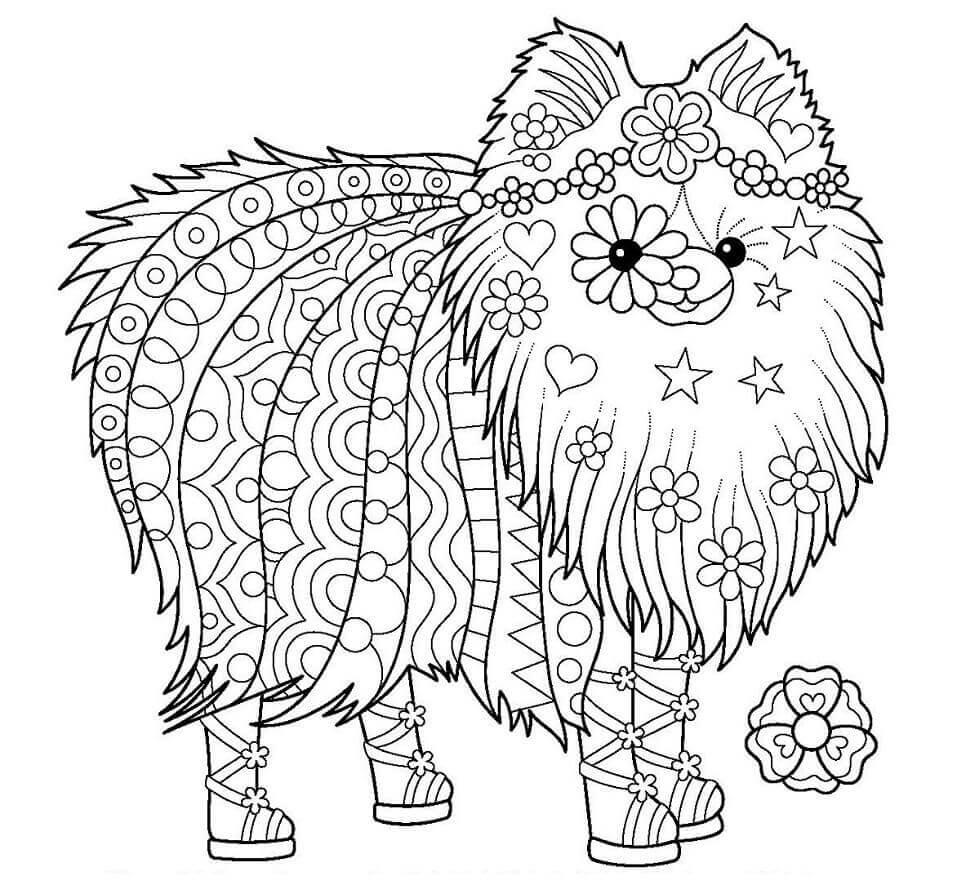 Desenhos de Cão Hippie para colorir