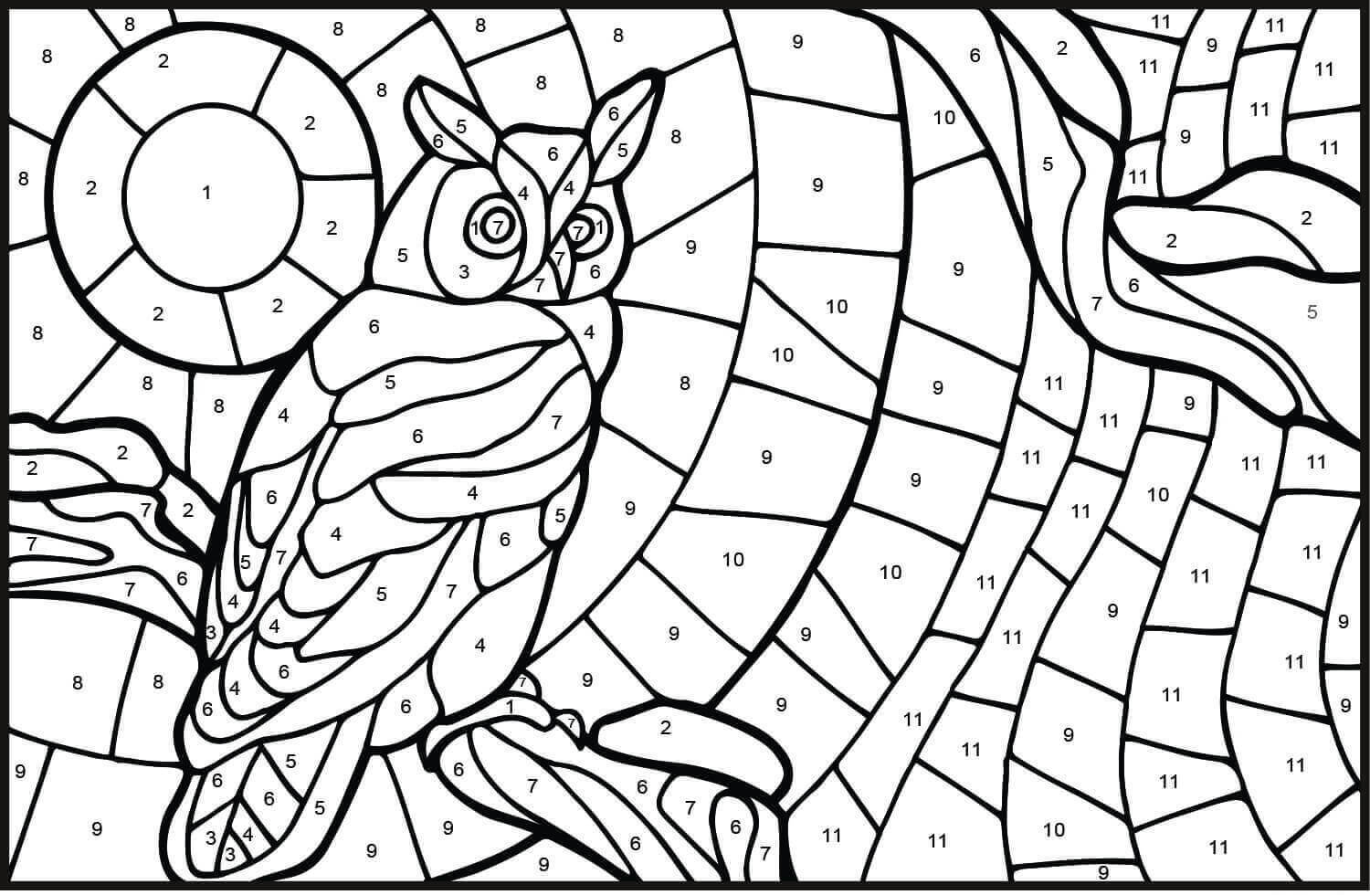 Desenhos de Cor da Coruja por Número para colorir