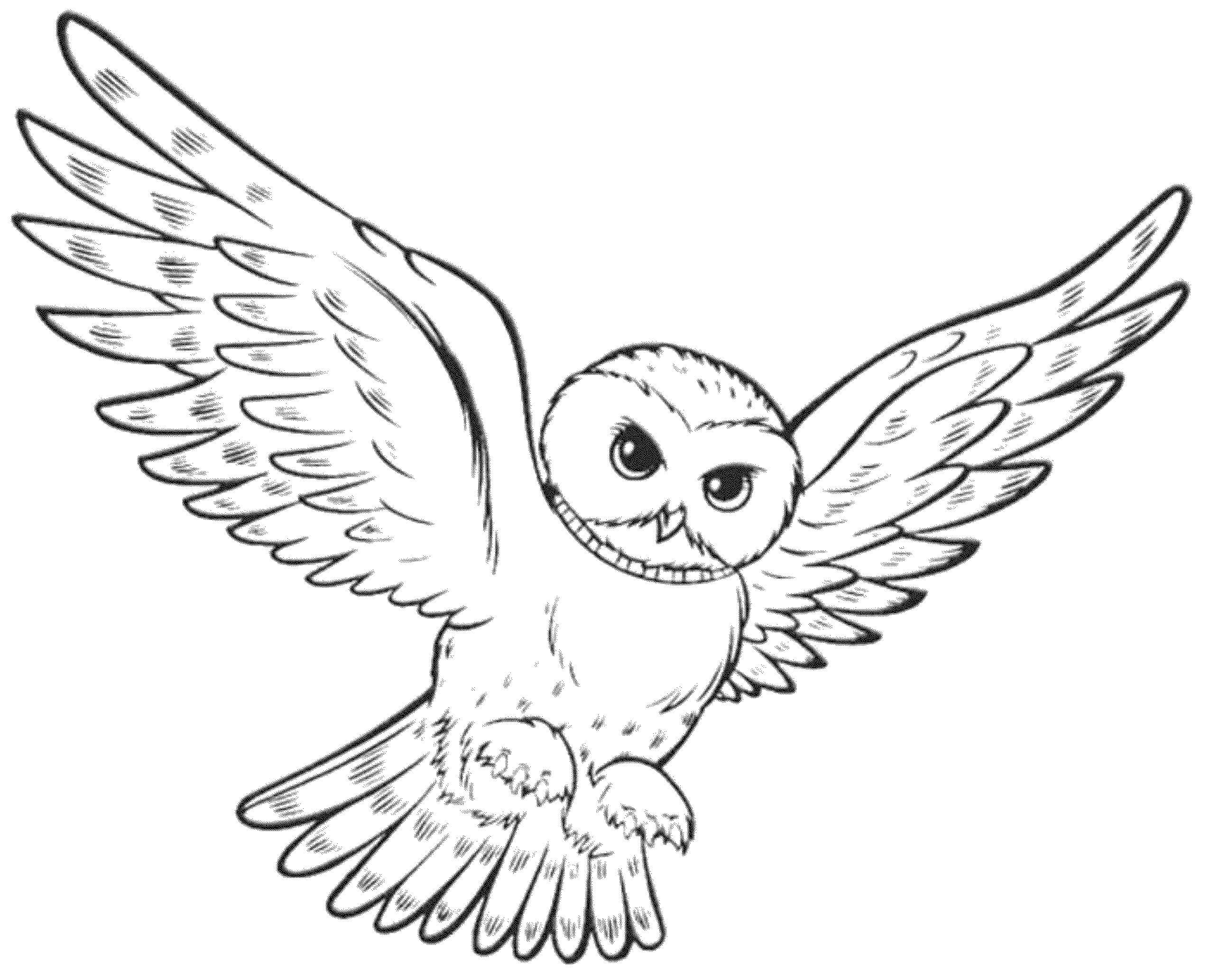 Desenhos de Coruja Voando para colorir