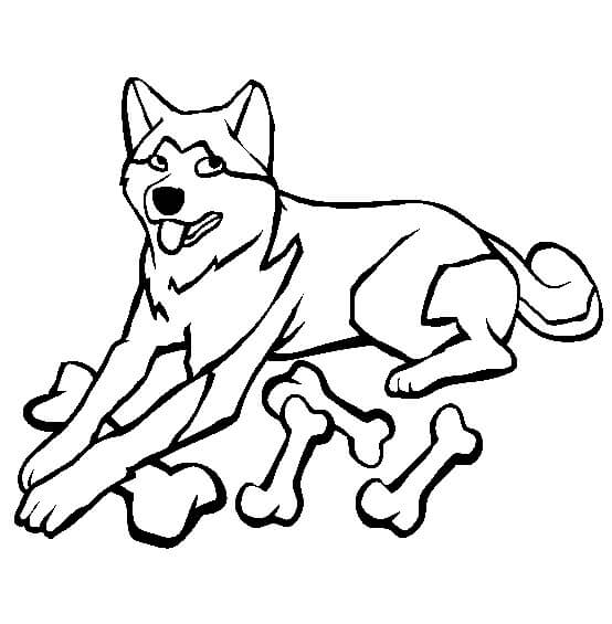 Desenhando Cachorro com Osso para colorir