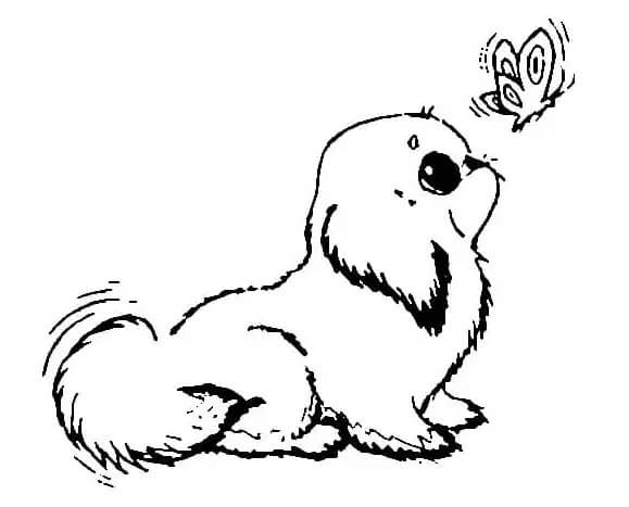 Desenhando Cachorro e Borboleta para colorir