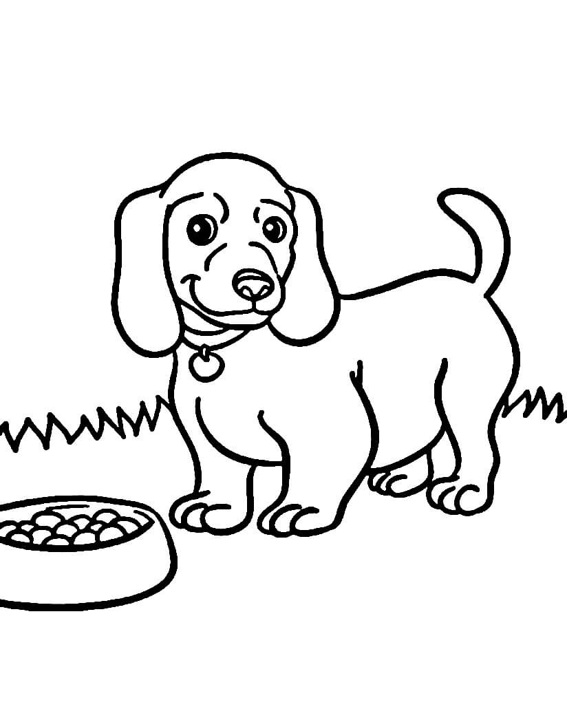 Desenhando Cão e Comida para colorir