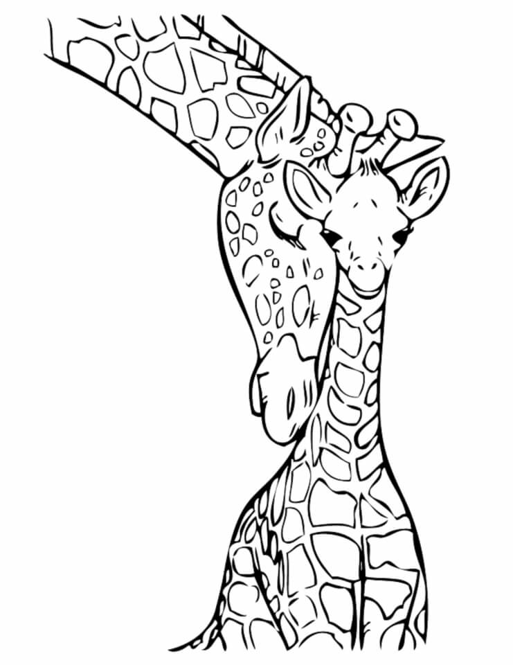 Desenhos de Duas Girafas Fofas para colorir