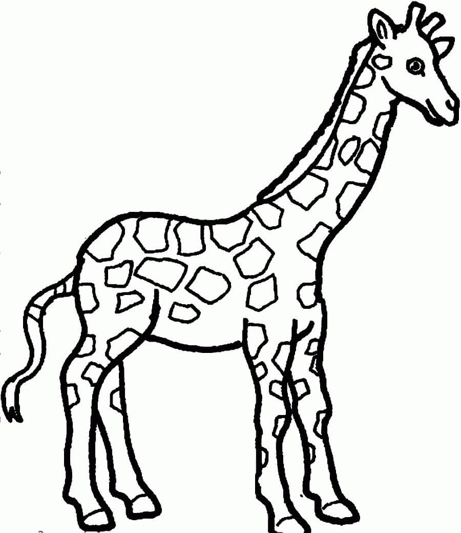 Desenhos de Girafa Agradável para colorir