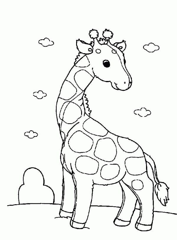 Desenhos de Girafa Bonita para colorir