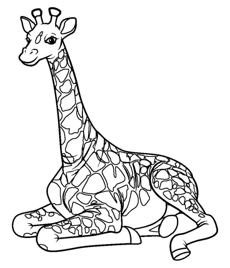 Desenhos de Girafa Sentada para colorir