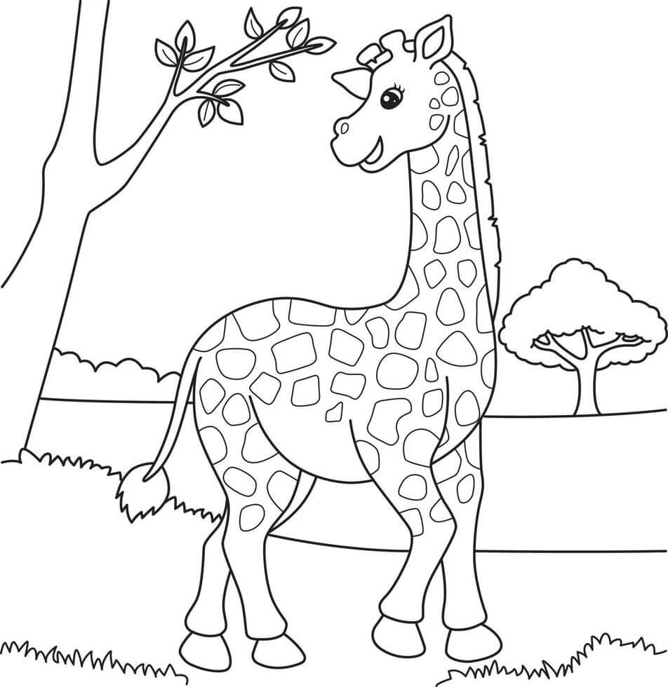 Imagens Gratuitas de Girafa para colorir
