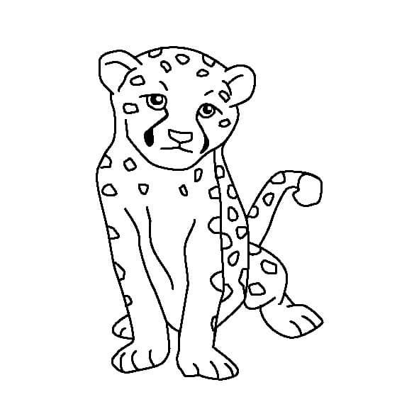 Desenhos de Impressionante Cheetah Sentado para colorir