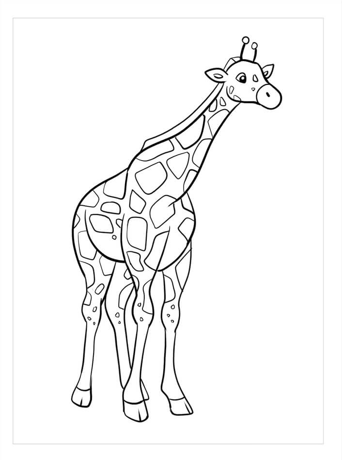 Linda Girafa para colorir