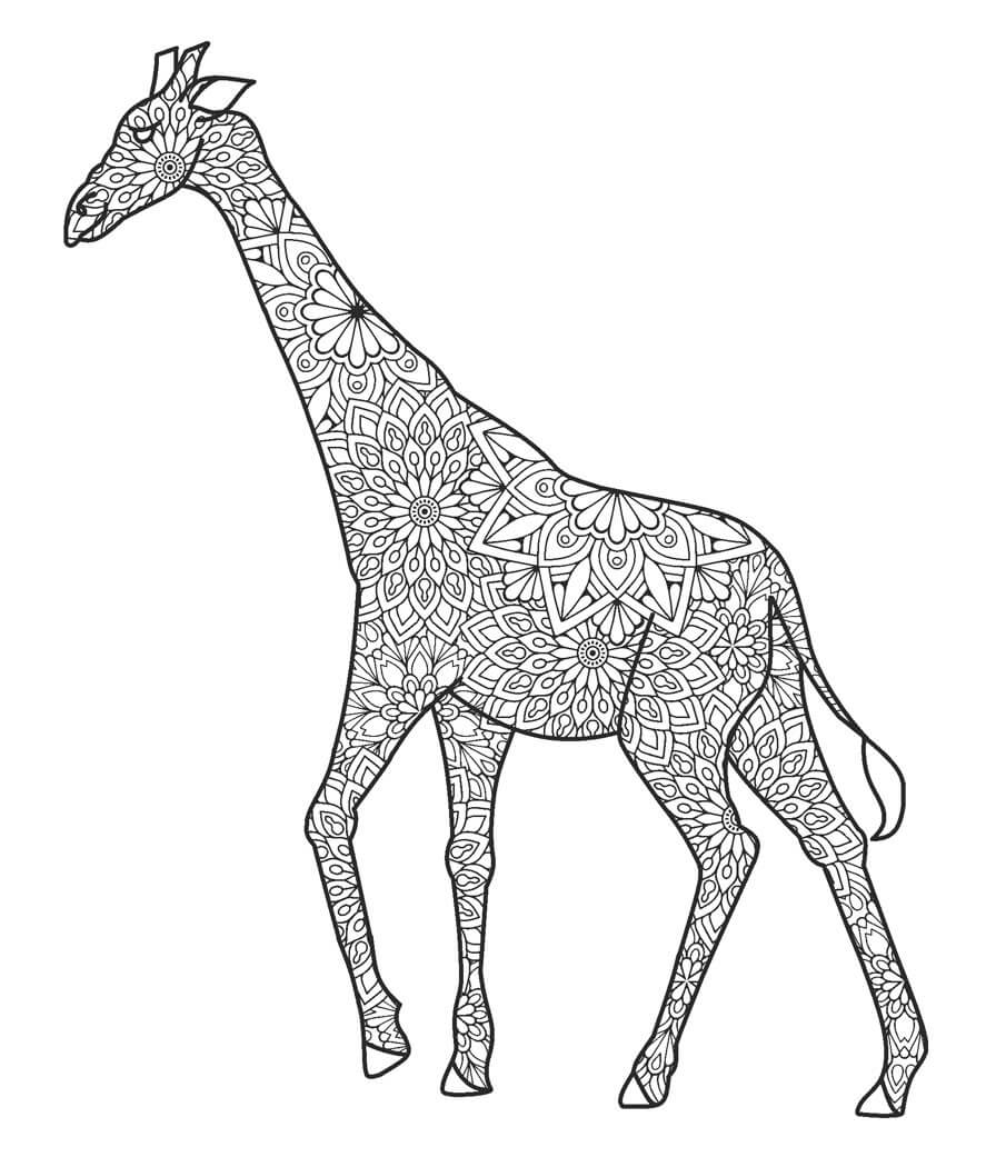 Mandala de Girafa para colorir