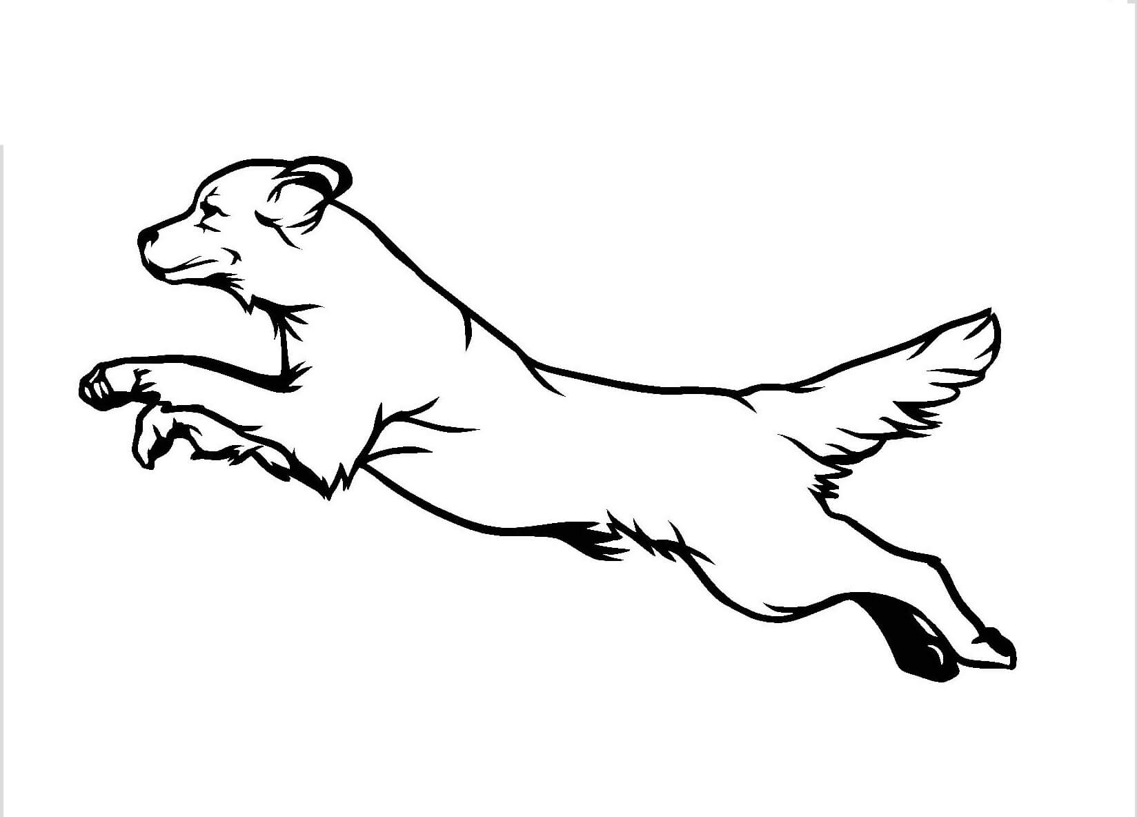 Desenhos de Salto de Cachorro para colorir