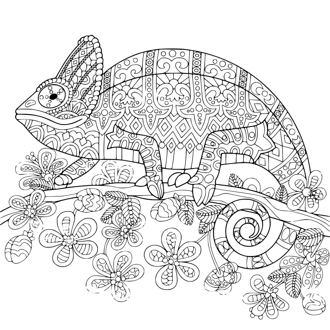 Desenhos de Mandala Camaleão Básica para colorir