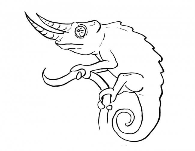 Two-horned Chameleon para colorir