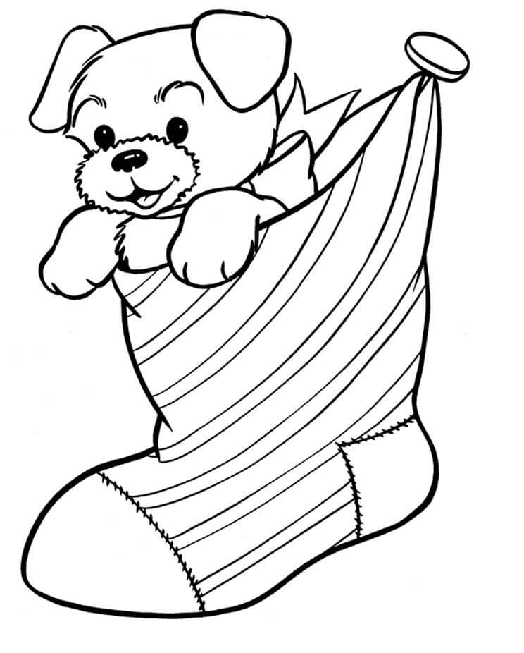 Desenhos de Cão em uma Meia para colorir