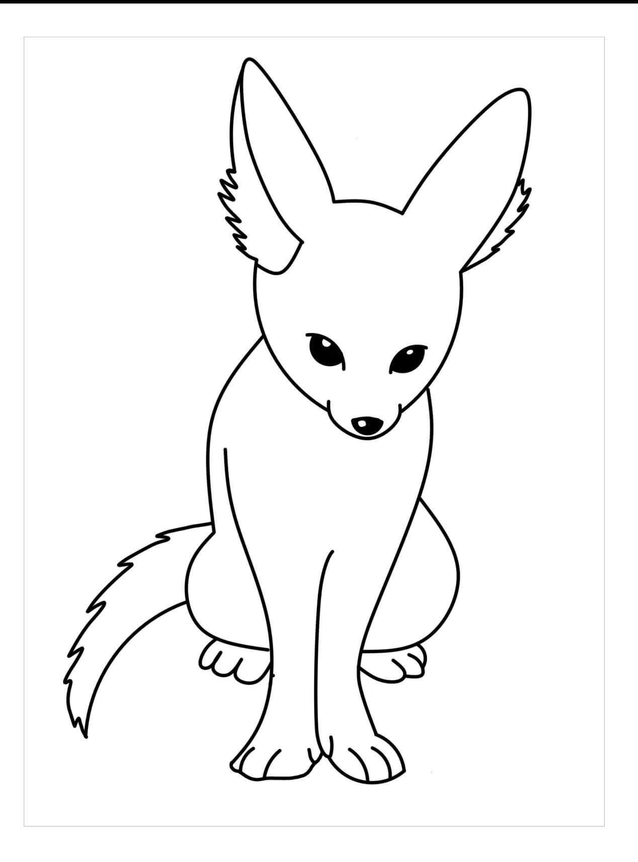 Desenhos de Raposa de Fennec para colorir