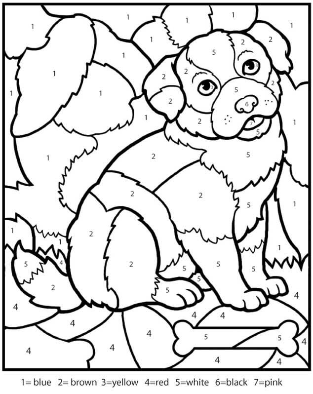 Desenhos de Cão com Osso Cor por Número para colorir