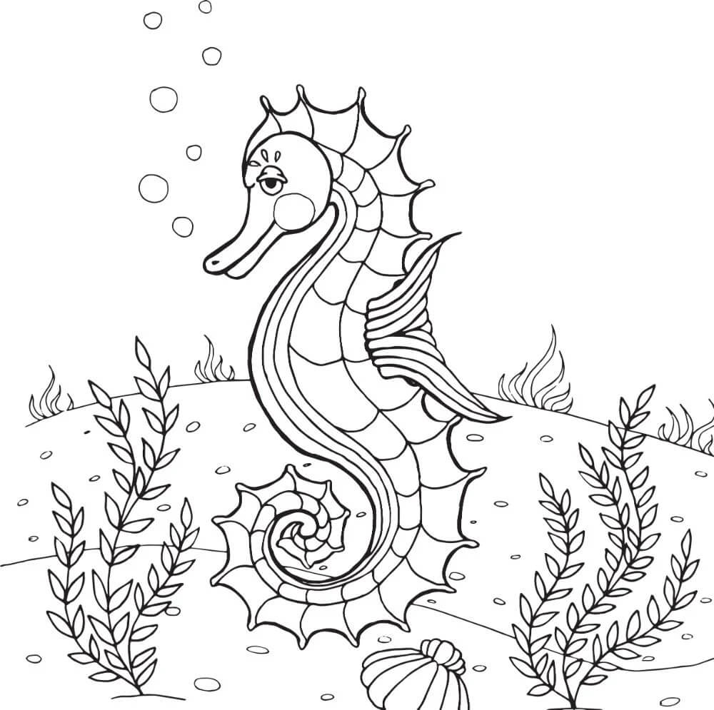Desenhos de Belo Cavalo Marinho com Corais para colorir