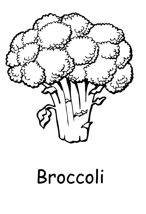 Brócolis para colorir