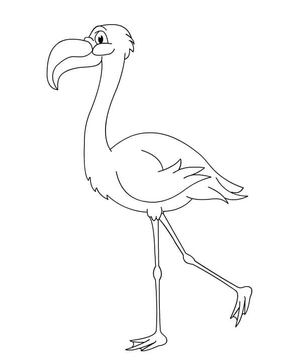 Desenhos de Caminhada do Flamingo para colorir