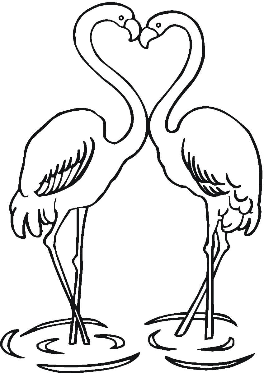 Casal Flamingos para colorir