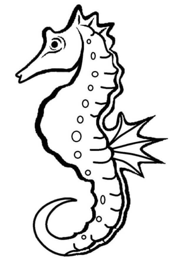 Desenhos de Cavalo-marinho de Desenho para colorir