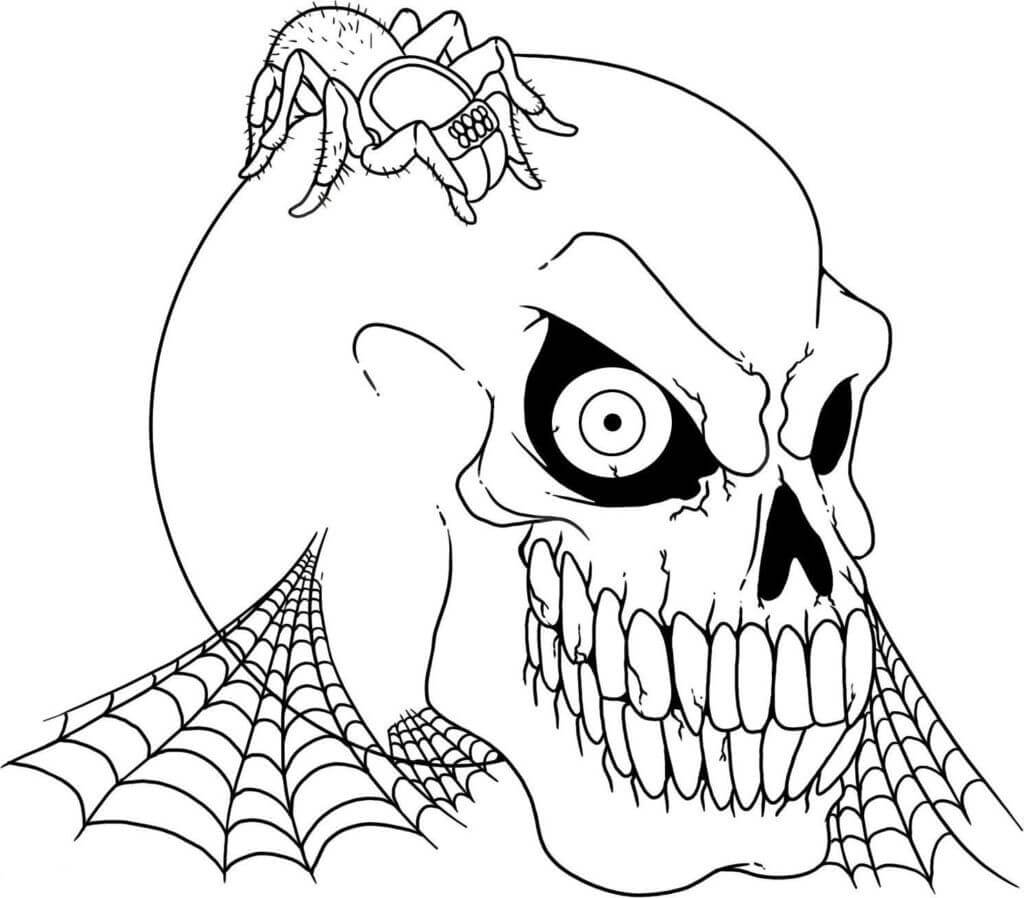 Desenhos de Crânio com Aranha para colorir