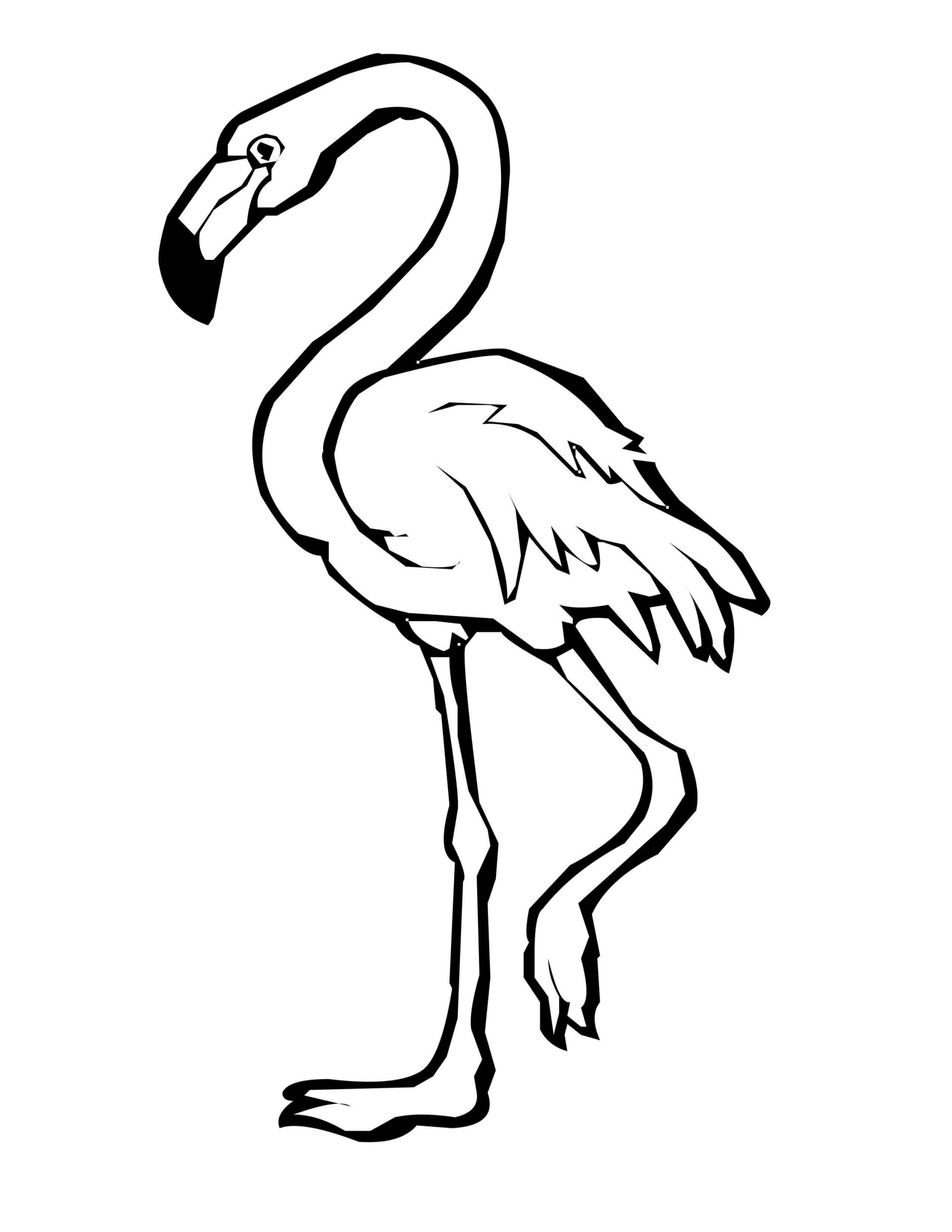 Desenho de Flamingo para colorir