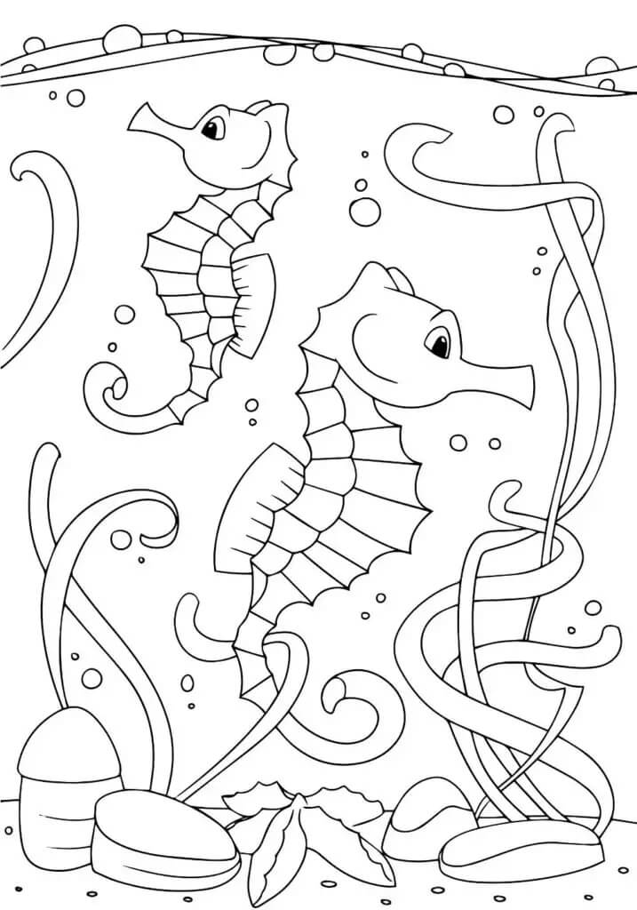 Desenhos de Dois Cavalos-marinhos Básicos para colorir