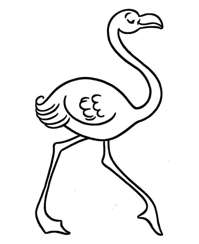 Feliz Flamingo para colorir