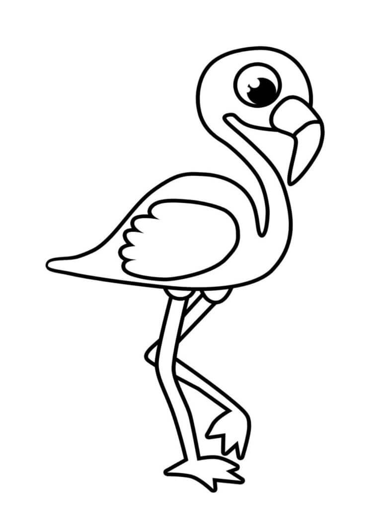 Desenhos de Flamingo Básico para colorir